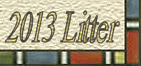 2013 Litter