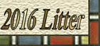 2016 Litter