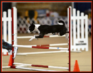 Maddie clearing a high jump