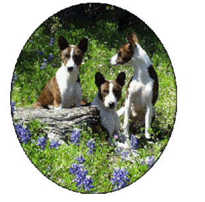 Masi and his daughters, Kizzy and Serafina